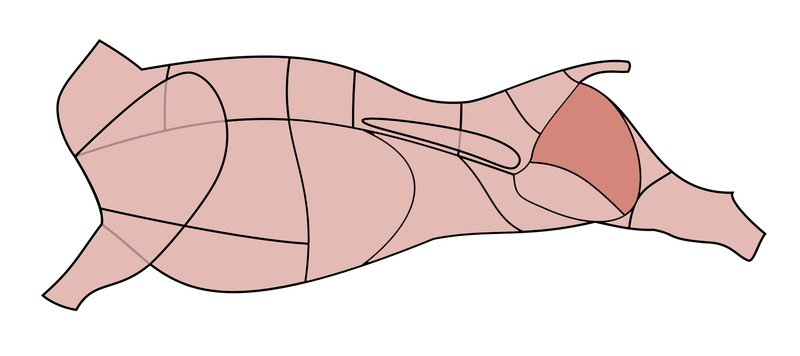 cow schema